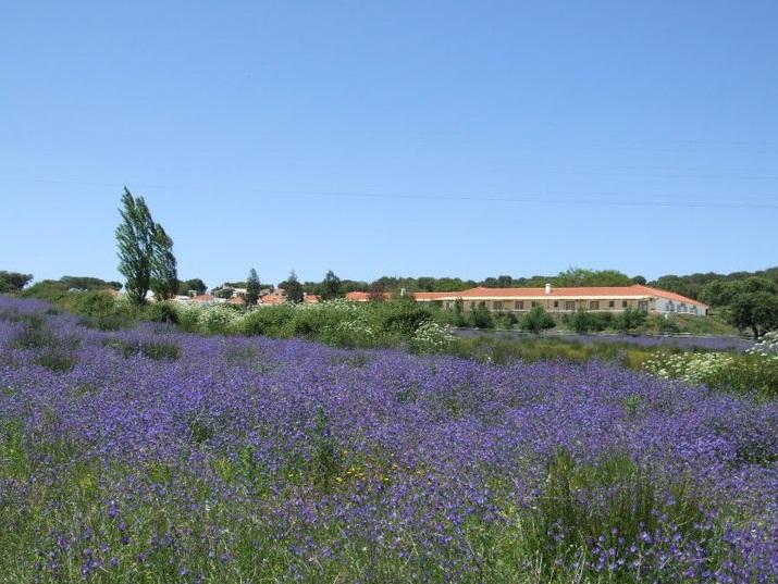 Hotel Rural Da Ameira 新蒙特莫尔 外观 照片